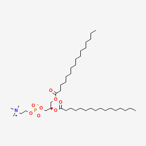1,2-Dipalmitoil-sn-glicero-3-fosfocolina丨CAS 63-89-8