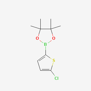 5-Chlorothiophene-2-boronic Acid Pinacol Ester丨CAS 635305-24-7
