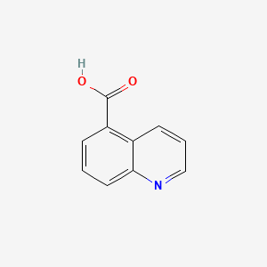 Quinoline -5- ácido carboxílico 丨 Cas 7250-53-5